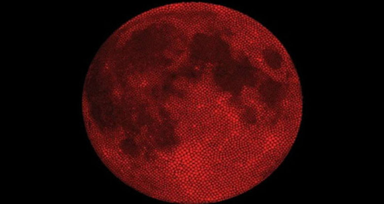 دراسة: خرائط المريخ شكلت تصوراتنا عن الكوكب الأحمر - بوابة أفريقيا 