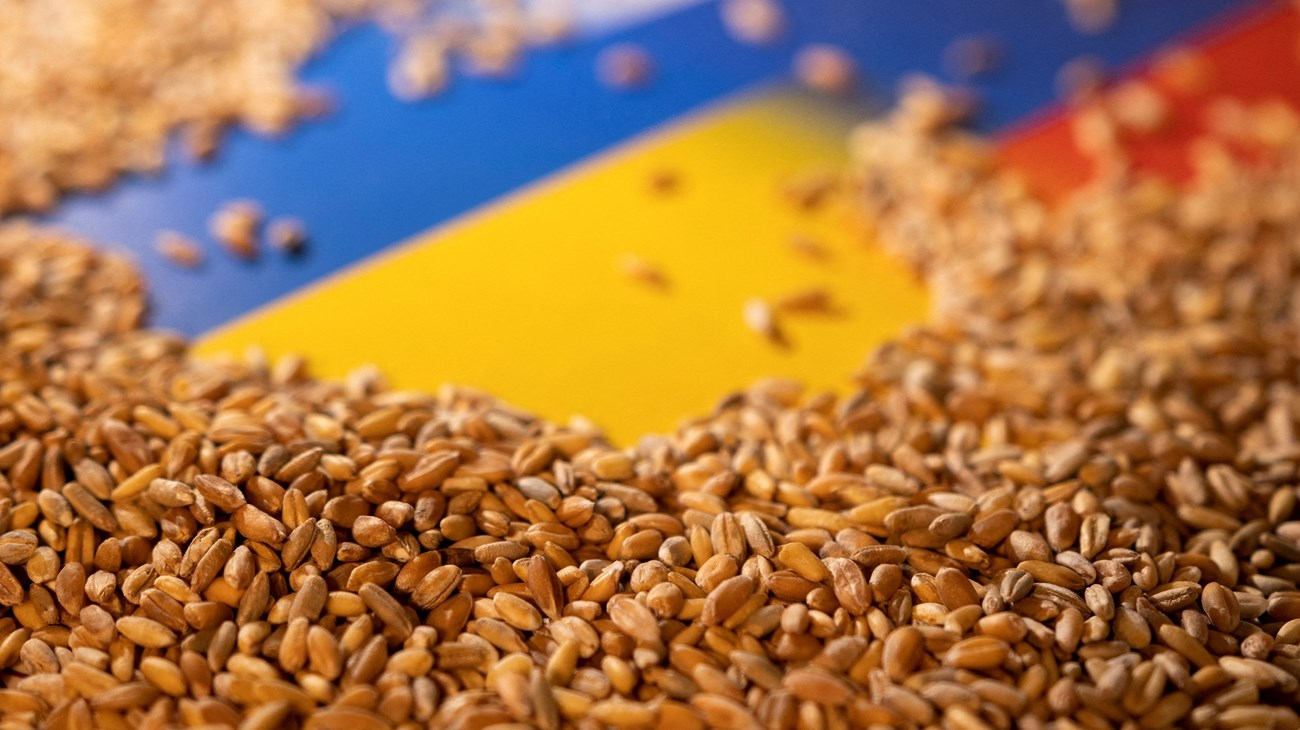 هل ينجح اتفاق الحبوب بين روسيا وأوكرانيا بإنقاذ العالم من المجاعة؟ - جريدة  الغد
