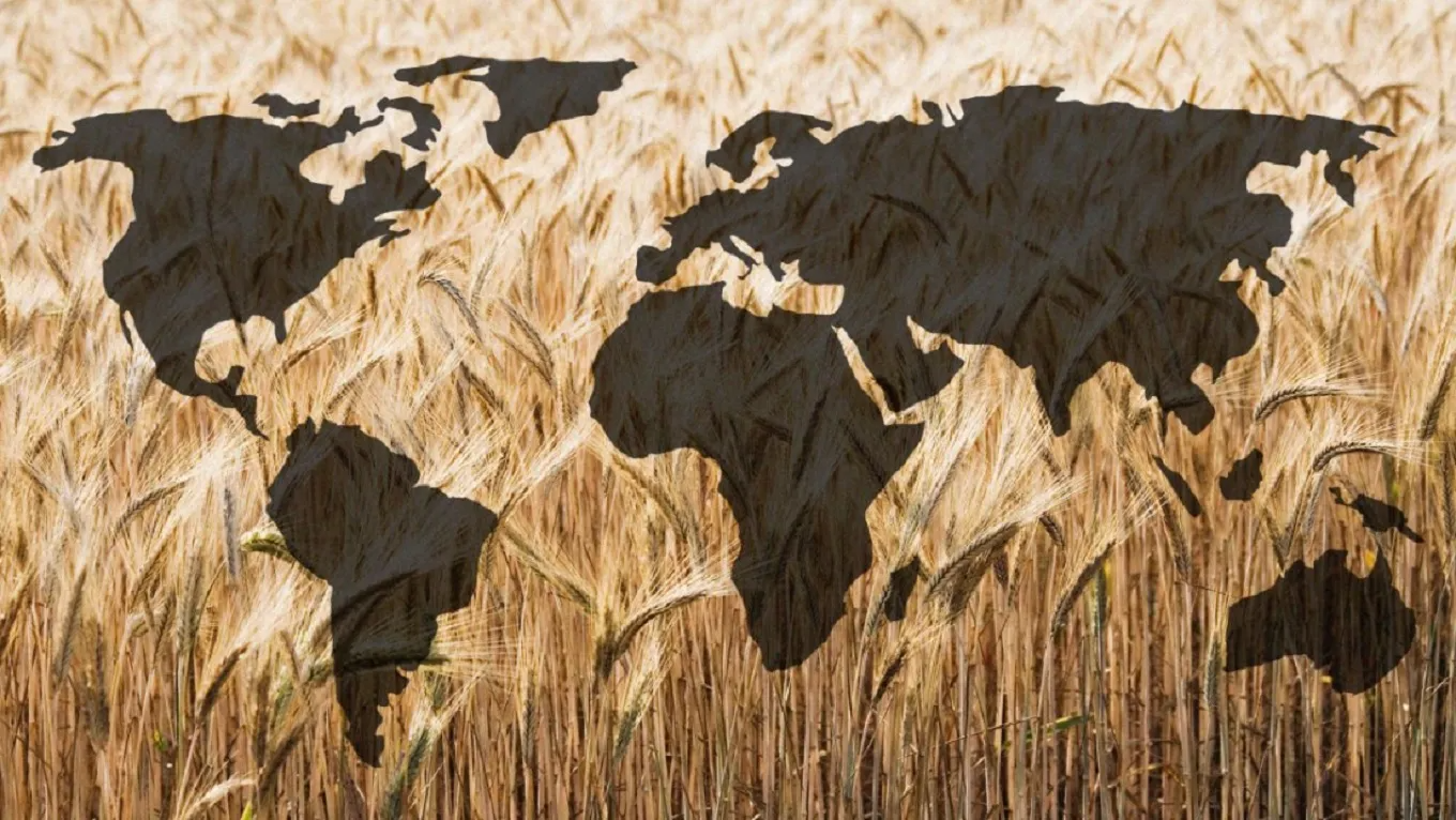 ONU: les exportations russes résoudraient la crise alimentaire mondiale