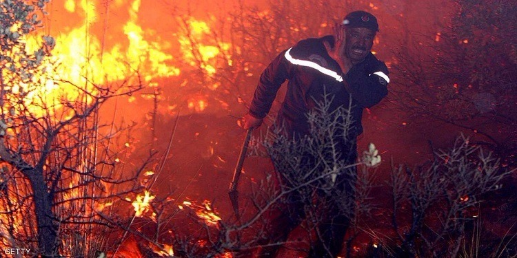 الجزائر : حرائق تقضي على أكثر ألف هكتار من الغابات والمحاصيل الزراعية